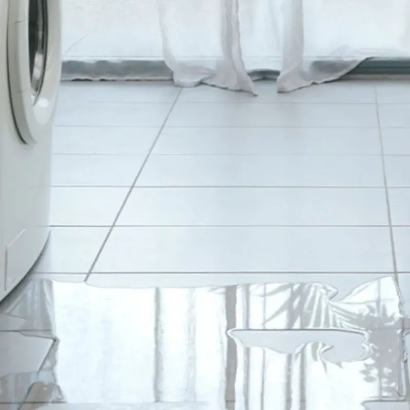 Appliance Leak Cleanup in North Liberty, IA