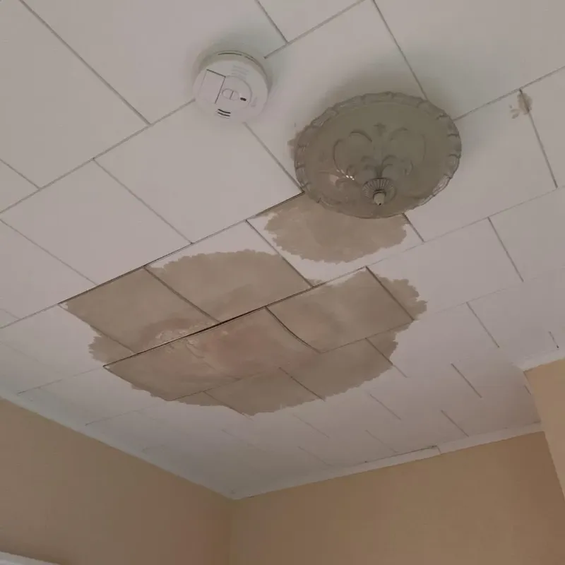Ceiling Water Damage Repair in North Liberty, IA