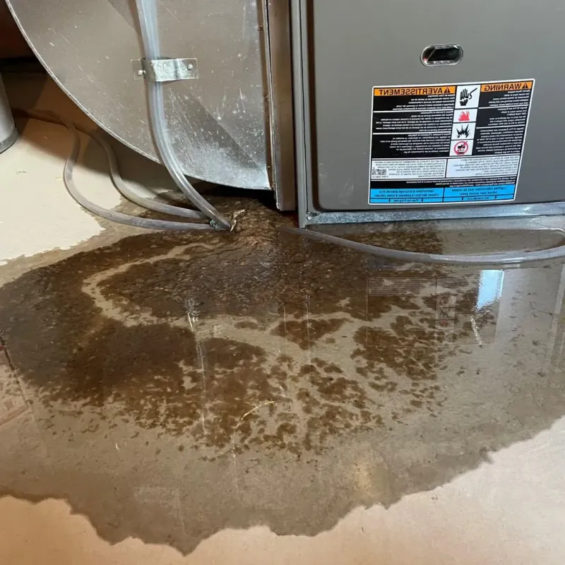 Pipe Burst and Leak Restoration in North Liberty, IA