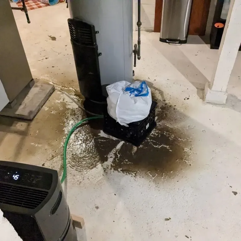 Sewage Backup Cleanup Service in North Liberty, IA